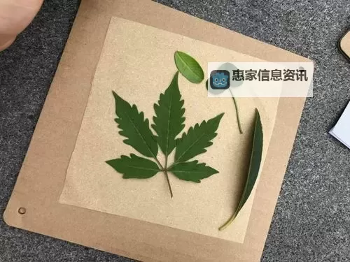 探索精彩内容:又大又圆网站带你领略无限世界图1