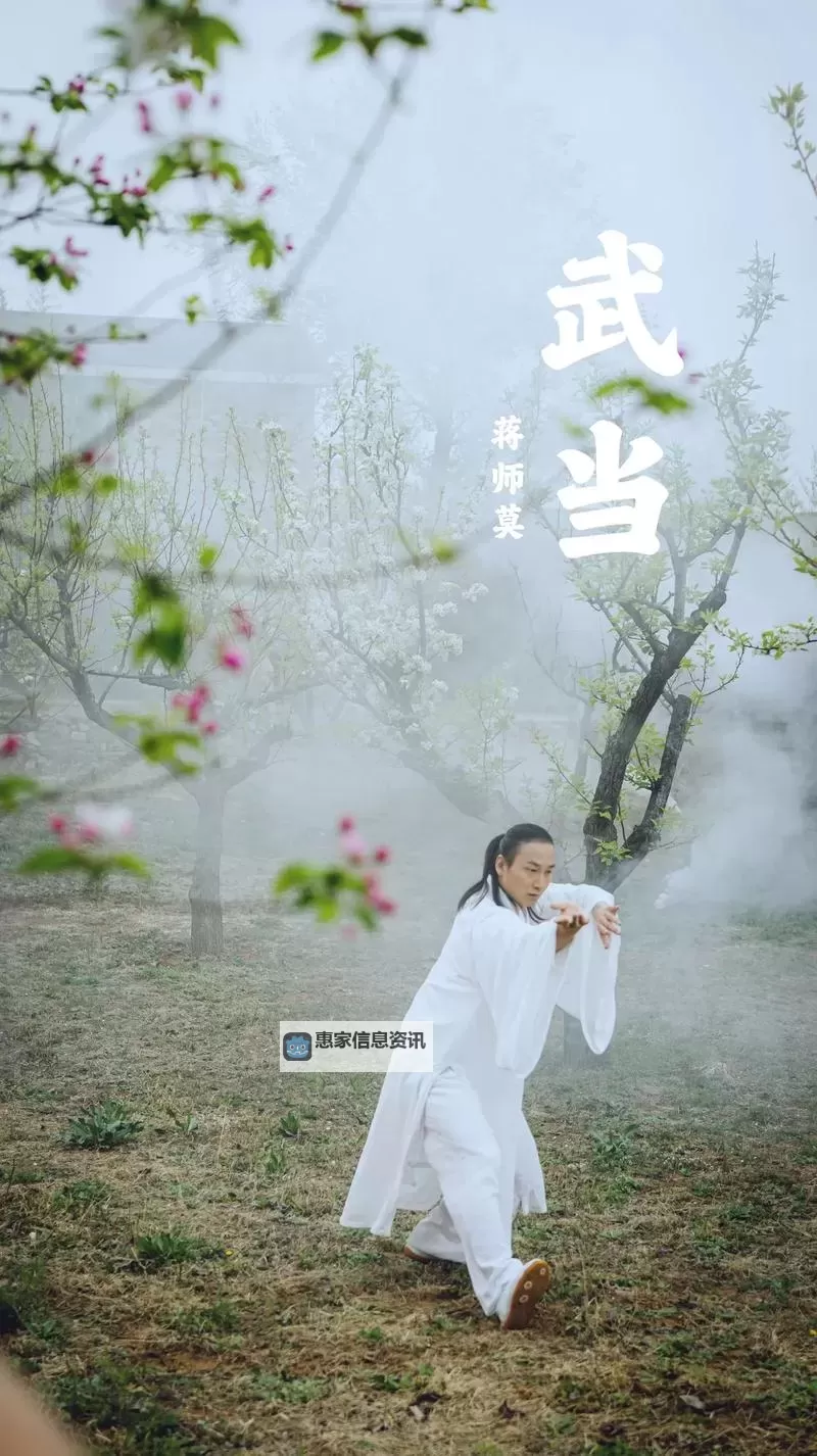 武当派人物:传承与传奇的武道师魂图1