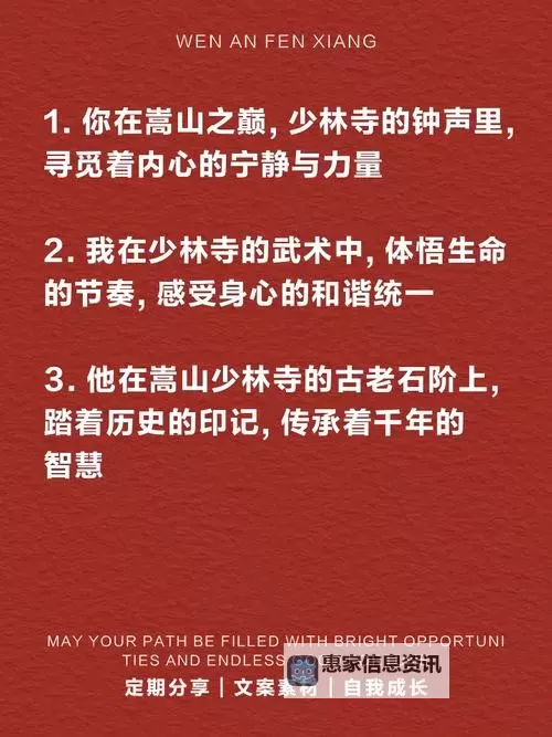 我在少林寺扫了八年叶子：坚韧与修行的岁月图1
