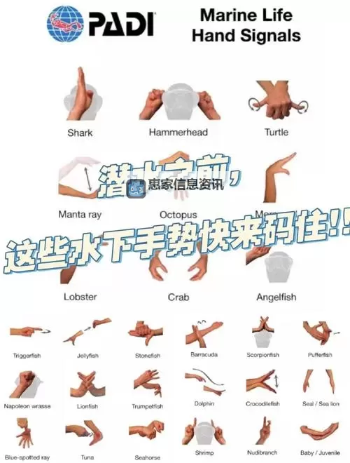 怎么扣出水指法图详细教程！图2