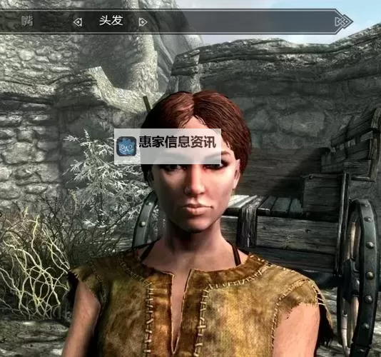 骑砍战团女性无内衣:虚拟世界中的大胆设计与角色塑造图1