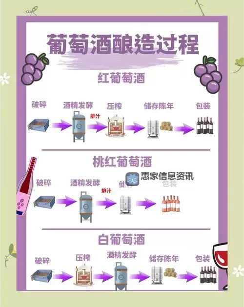 自酿葡萄酒视频:详细教学与制作秘籍分享图1