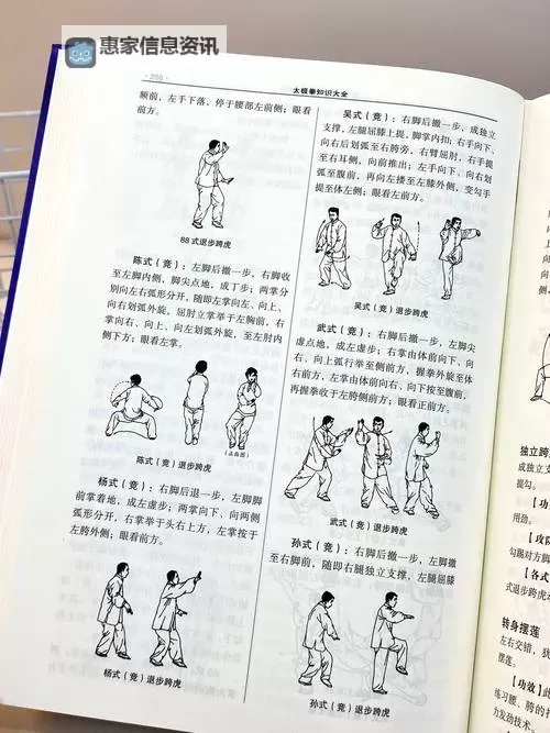 九阴真经下卷各种武功揭秘与实战指南图2