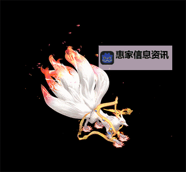 PR九尾狐正能量免费视频:激励人心的温暖故事精选图2