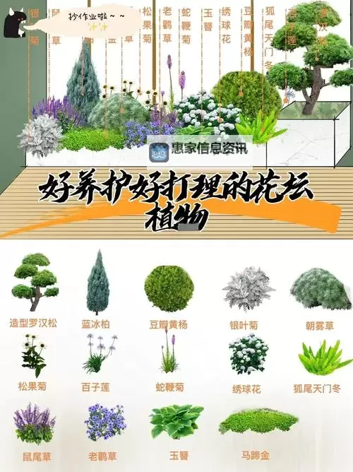 怎么弄小花园最疼：打造令人难忘的花园设计秘籍图1