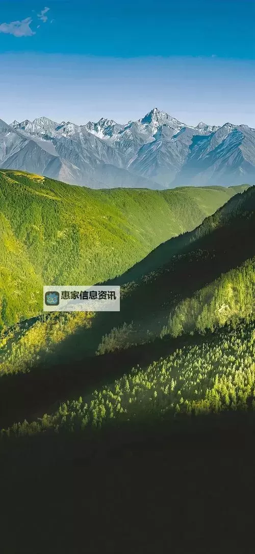 虐杀原形2怎么升级技能全面指南丨提升战斗力技巧分享图1