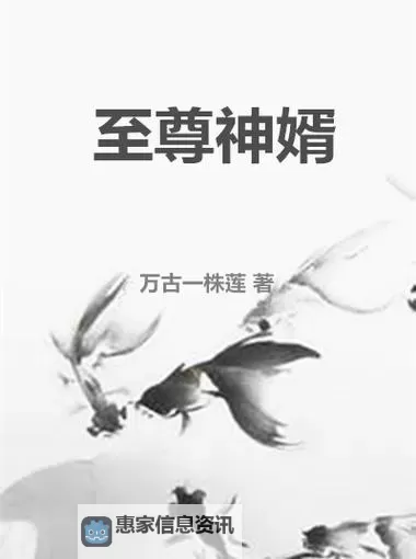 至尊天师女婿:巅峰修行与贵族荣耀的传奇人生图1