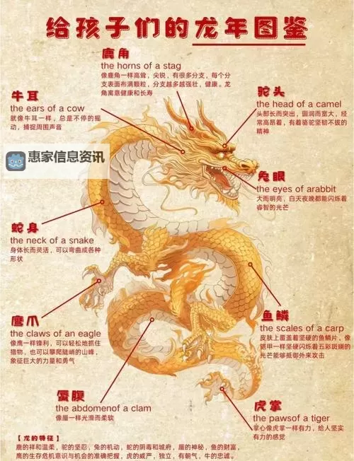 有姓御龙的吗?揭秘姓氏背后的传说与故事图1