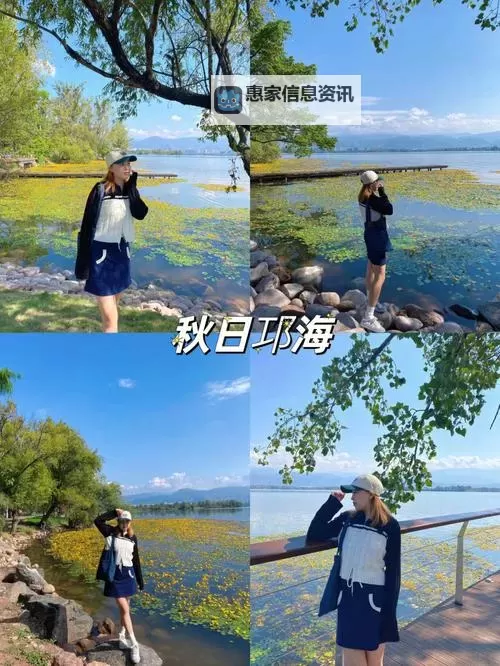 佐藤江梨花种子揭秘:从播种到绽放的美丽故事图2