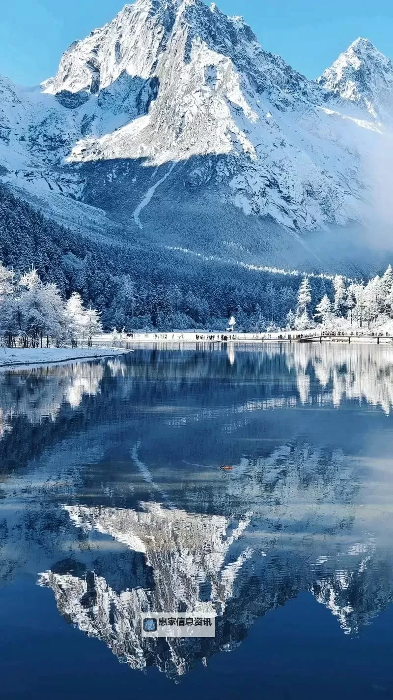 翼神龙上位卡组解析与强势崛起指南图2