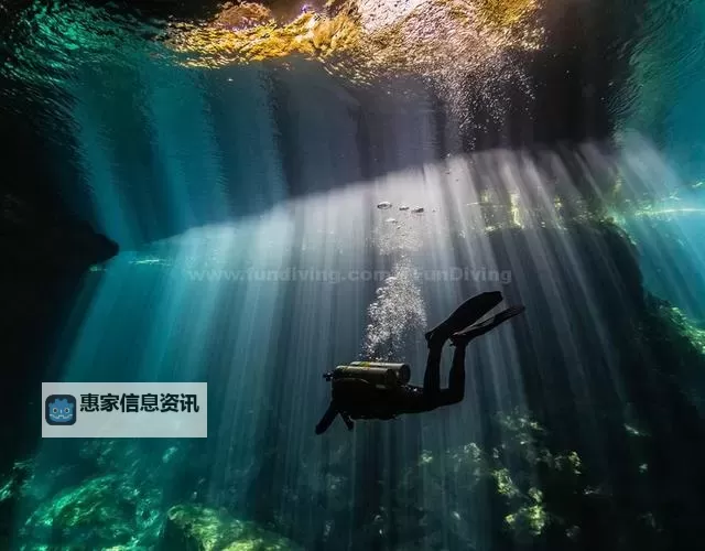 深度探索:中文字幕天堂中文的魅力与精彩内容图1