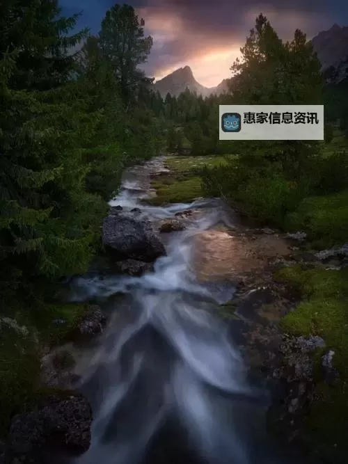 日本一道本高清:畅享极致视觉盛宴的最新出版指南图2