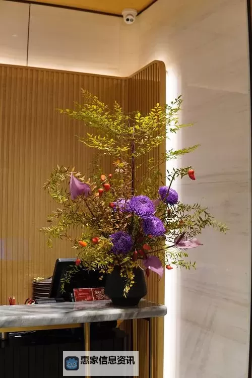 紫龙插花芯:点亮庭院的神秘之光图1