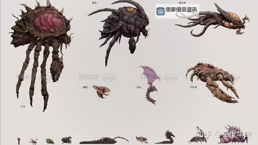 全面解析:星际争霸所有虫族图鉴全收录与详细介绍图2