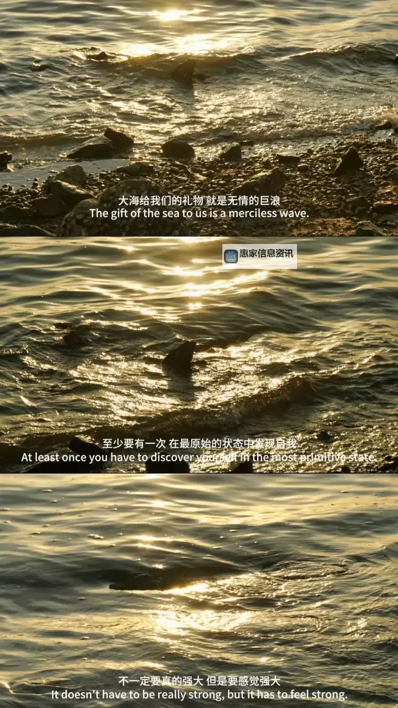 2019年最精彩的高清中文字幕视频推荐:最好看2019高清中文字幕视频汇集图1