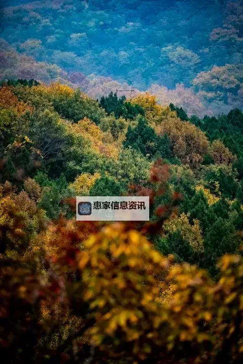 虐杀原形2怎么升级技能全面指南丨提升战斗力技巧分享图2