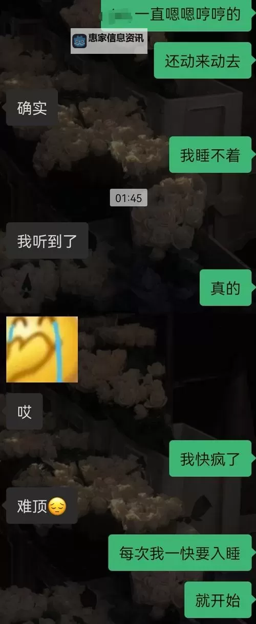 晚上玩B现场直播:精彩瞬间全览图1