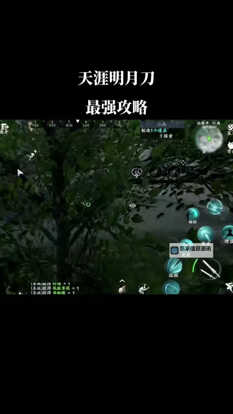 天涯明月刀为什么没人玩:背后原因解析与玩家现状图2