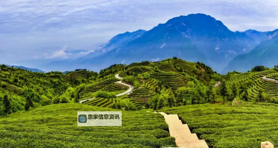 虐杀原形2刷怪技巧全面攻略,轻松提升战力图1