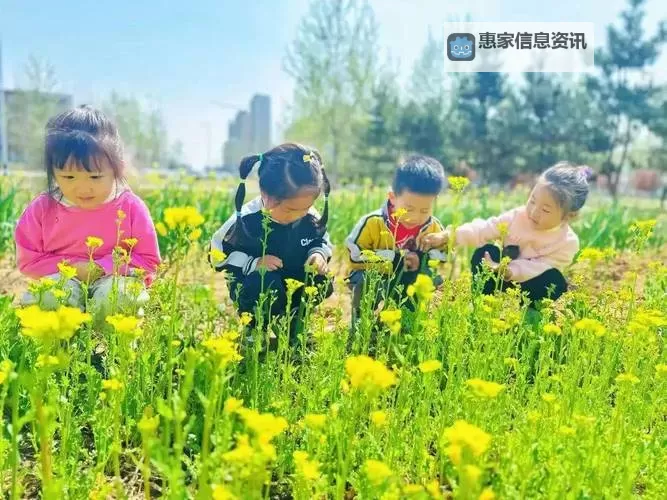 春日萌动:你懂的嫩草悄然萌发图1