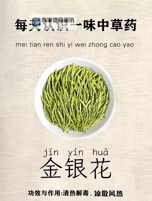 帐中香TXL金银花:清新芳香的养生佳品图1