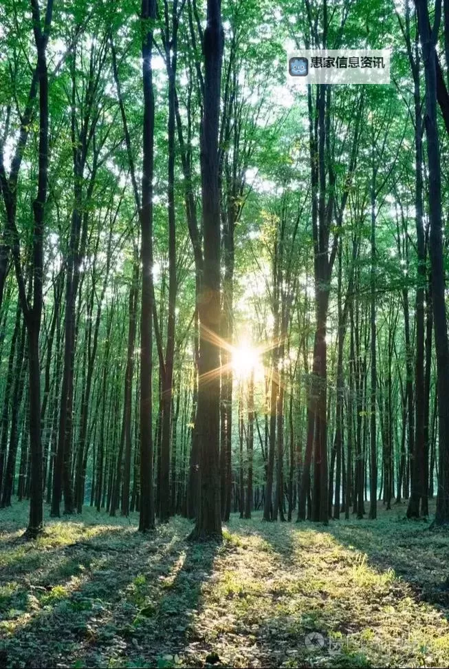 寄生前夜2实验室答题指南:全面解析与技巧分享图1