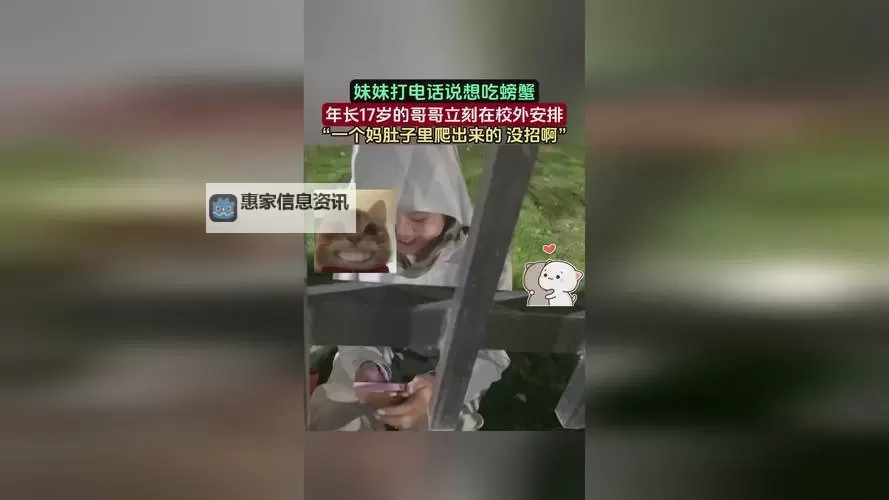 探索全球华人社区:深入了解8x8x海外华人首页的精彩内容图1