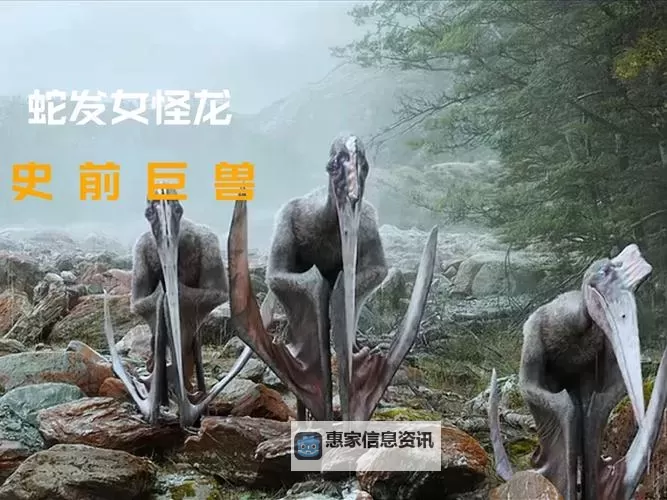 LOL植物异变是什么龙:揭秘植物异变的真相与龙系传说图1