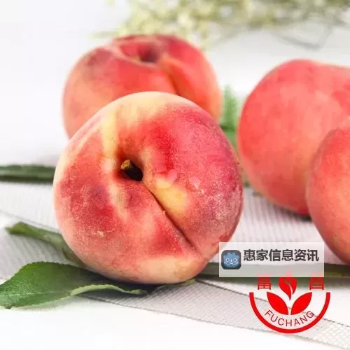 正宗水蜜桃1430.5：品质保证的鲜甜果王图1