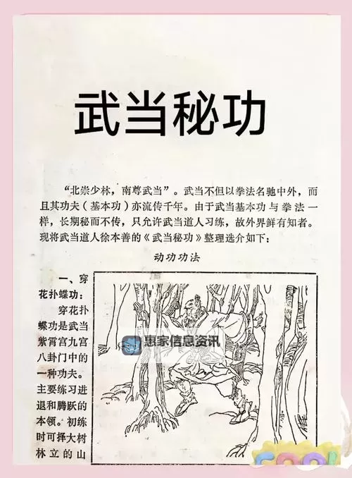 九阴真经八荒刀法:武林至宝的绝世秘艺图1