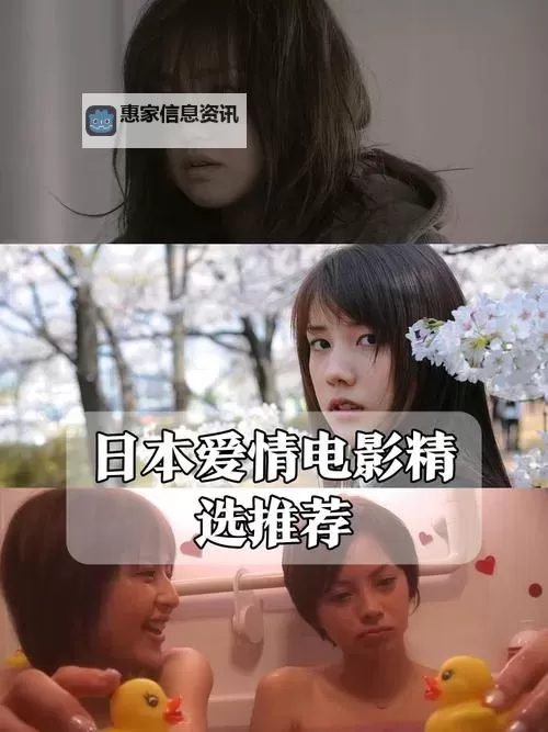 探索日本高清一区不卡:高清影视资源全解析图2