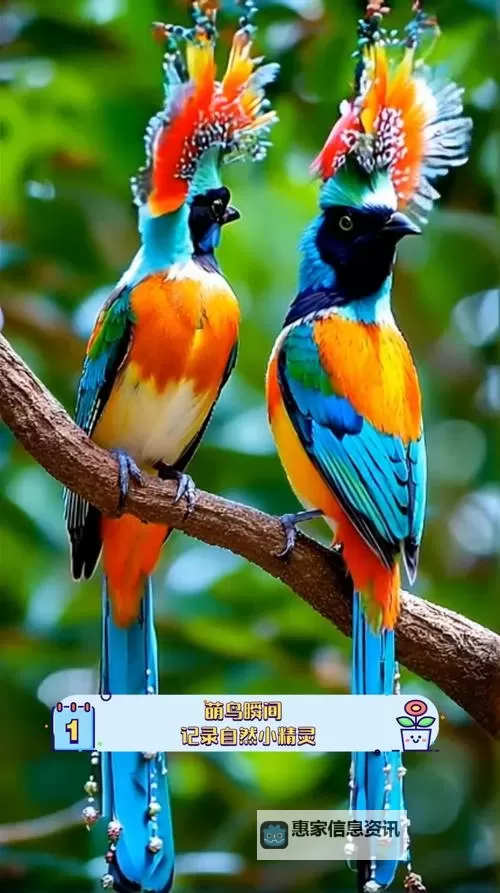 《解析生化危机九大女性boss的特点:她们的设计与角色魅力解析》图2