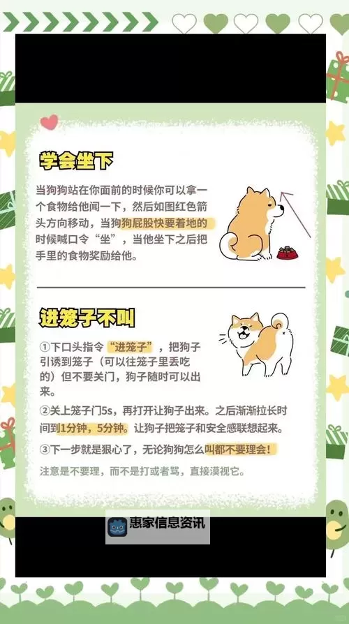 怎样教狗狗进入自己:建立信任与情感连接的方法图2