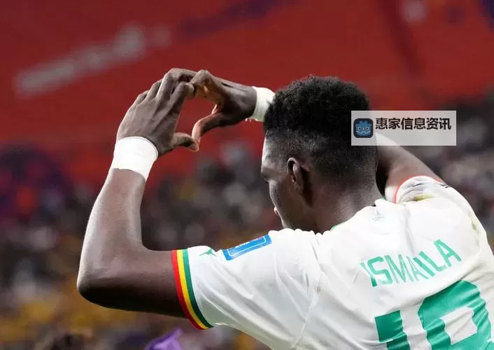 厄瓜多尔与塞内加尔直播：精彩对决全场热情澎湃图1