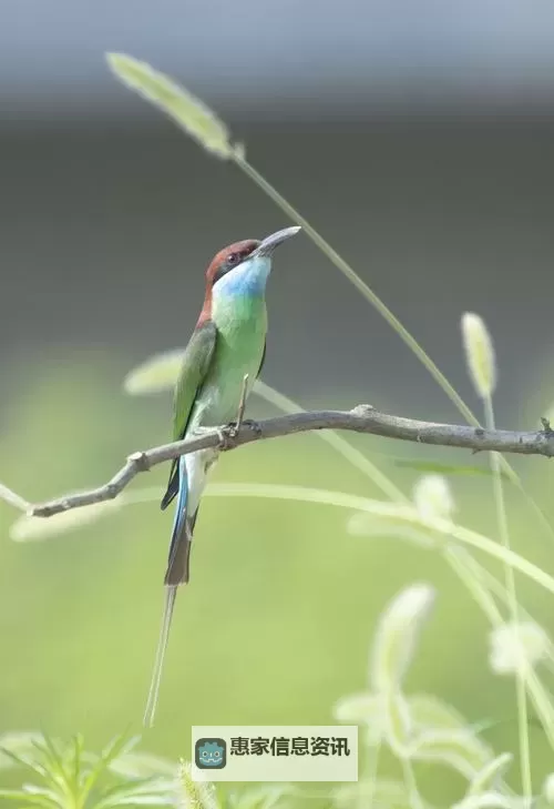 探索最新更新:91国产在线1区的精彩内容全揭秘图2