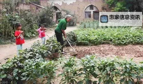 中国农村夫妻CHINA：坚守田园的幸福篇章图1