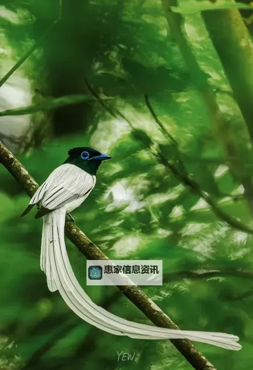 探索最新更新:91国产在线1区的精彩内容全揭秘图1