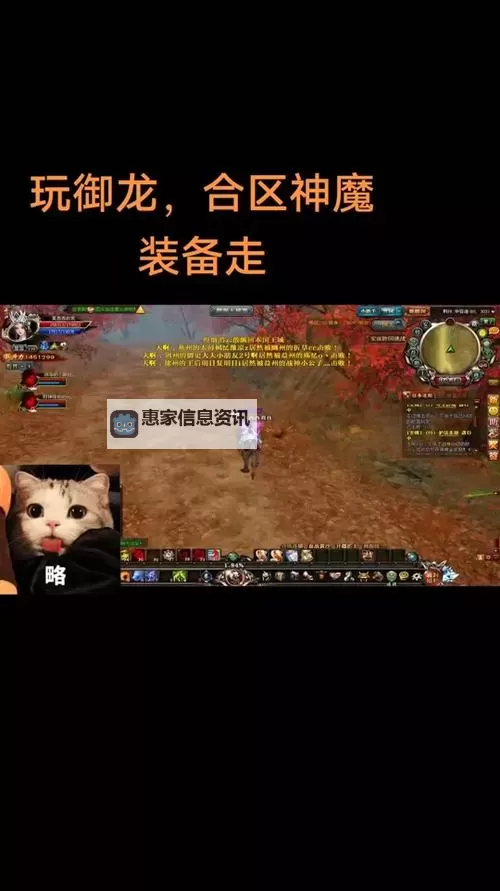 全面解析御龙在天龙魂等级表:等级、成长与提升指南图1