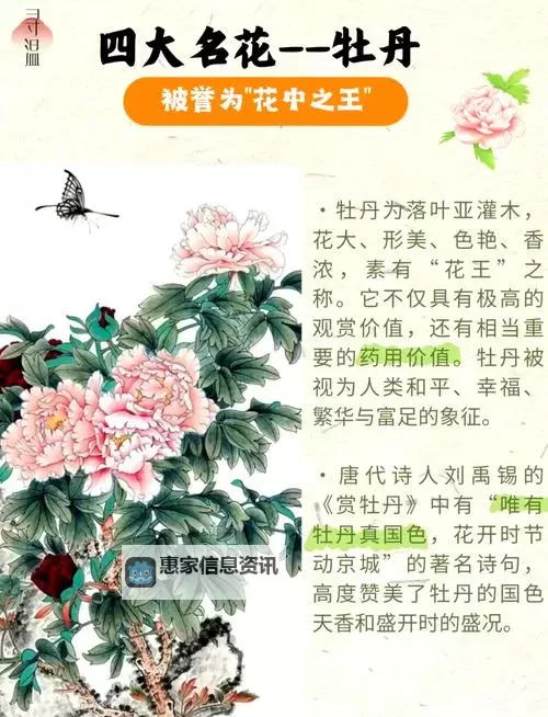 亭亭玉立:四月天国色天香科普之美丽赏析图2