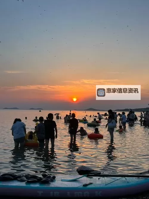 探索日本激情小说网址:热门网站推荐与阅读指南图1