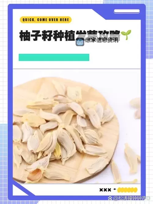 探索柚木rio种子:天然材料的多重价值与应用潜力图1