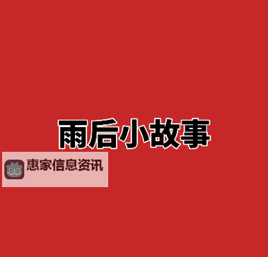 雨后小故事动态38张漫画：细腻故事展现自然蜕变的温馨瞬间图1