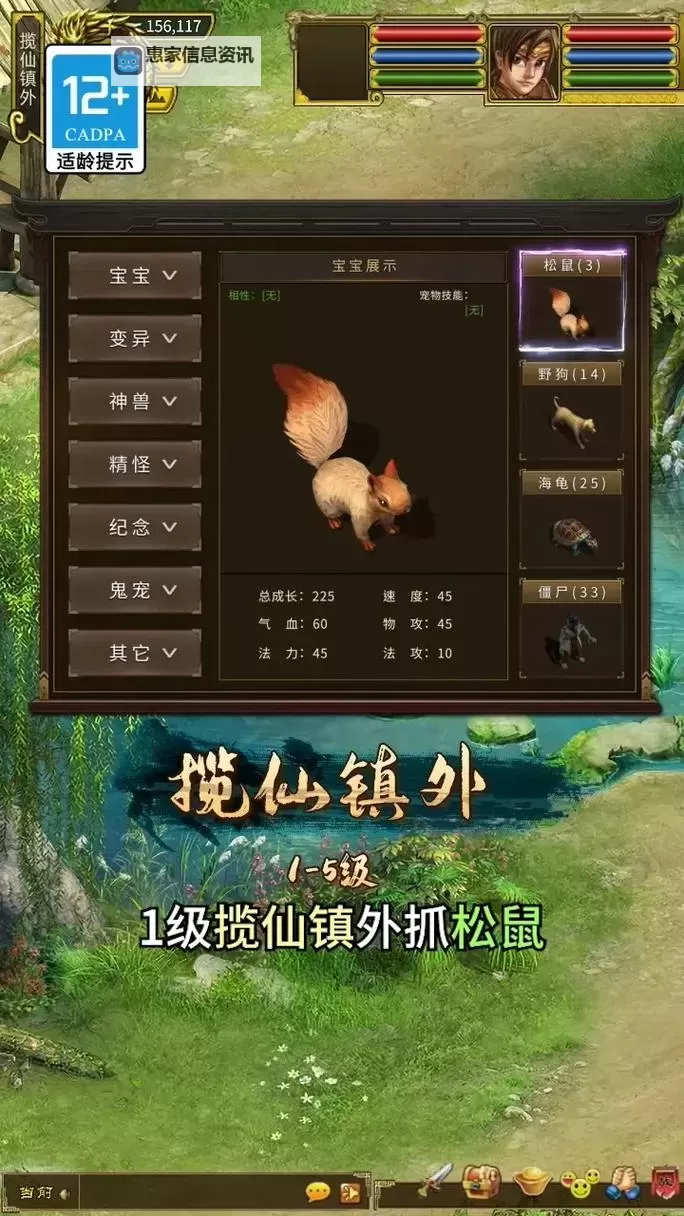 问道黑凤金凰坐骑效果详解与养成指南图1