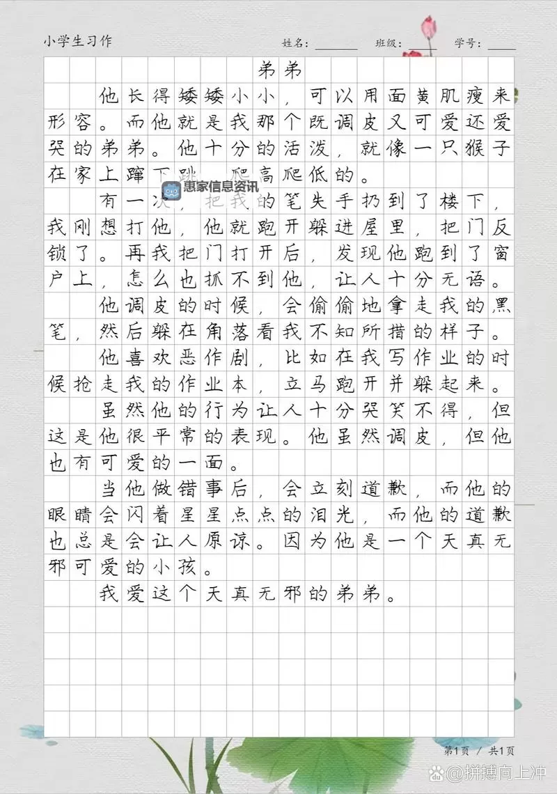 奇妙的经历:我坐在学长的鸡上面写作文作业图1