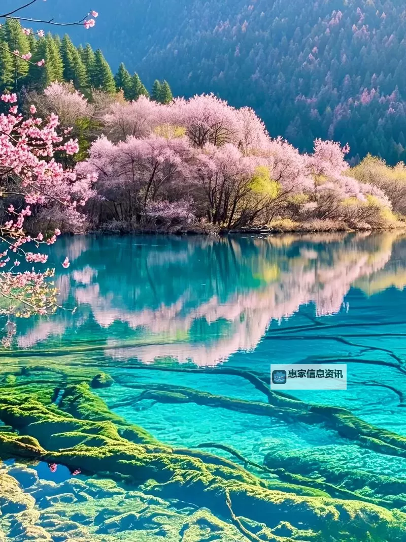 圣者之鸣没有时空之门怎么办:突破束缚的绝境求生指南图1