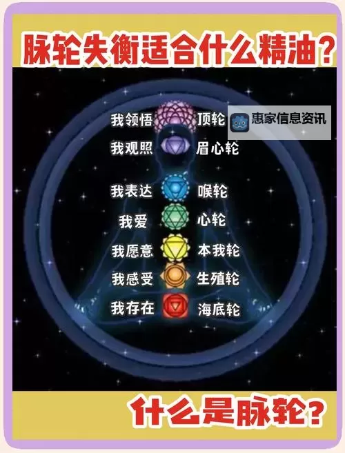 探索心灵之旅：三脉七轮吧的奥秘与修炼心得图2