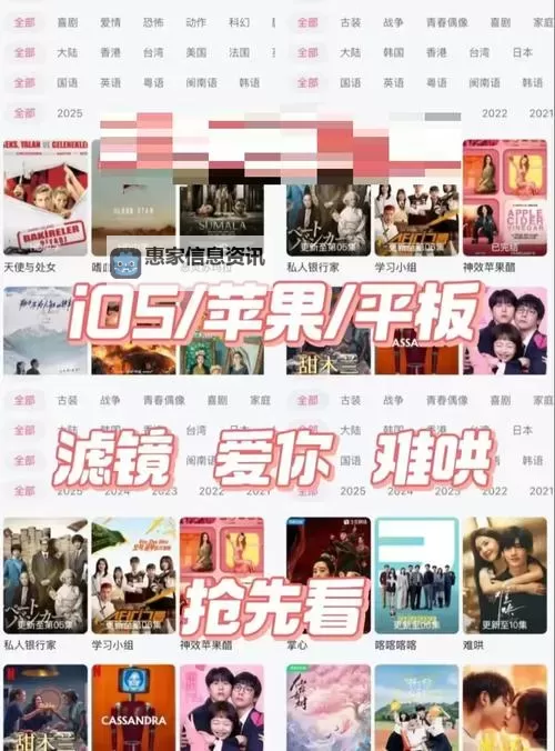 免费无广告在线观看中文乱码字幕无线观看攻略图2