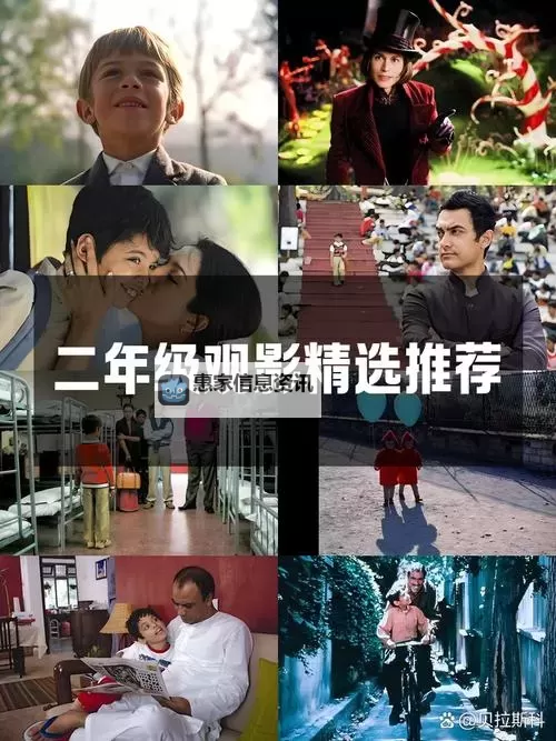 探索中文字幕2区:优质资源精选指南图2