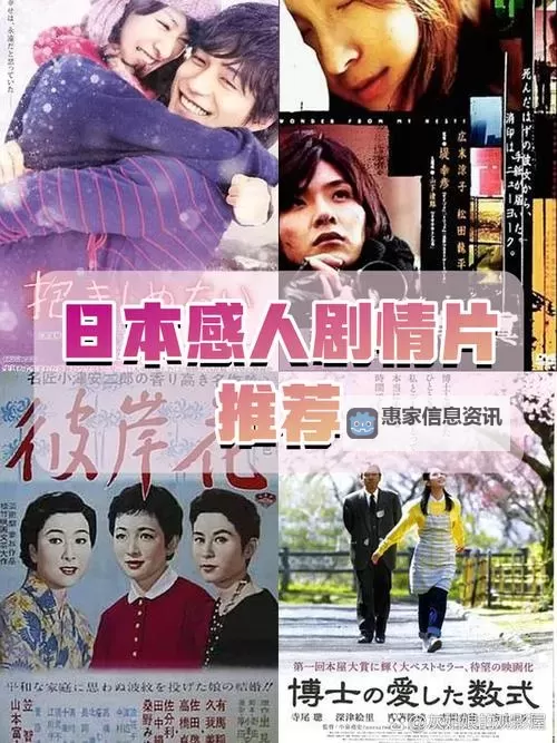 日本成人电影中文：详细介绍与资源指南图2