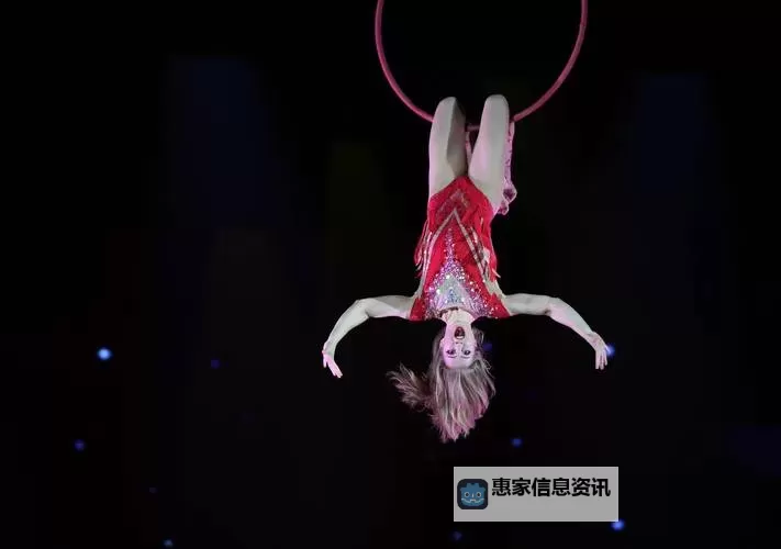 海外华人一区二区:精彩纷呈的文化盛宴与交流平台图1